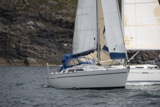 stargazer gbr4884c whyw18 thr gjmc 8878w